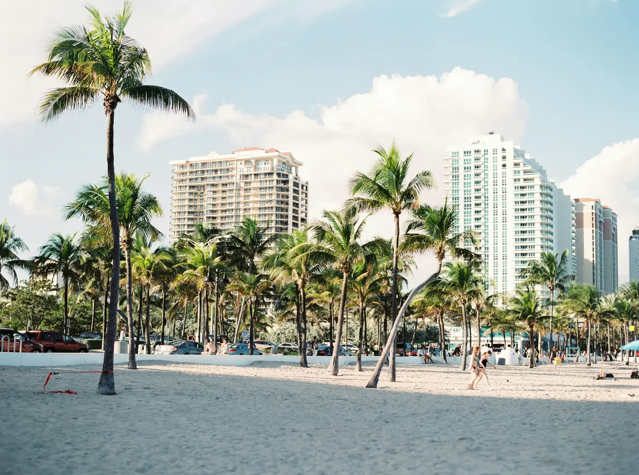 Sunny palm-lined beach with high-rise hotels.